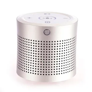 Thunder II Smart WiFi Bluetooth V4.0 Speaker